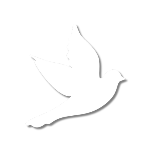 Birds PestiGo
