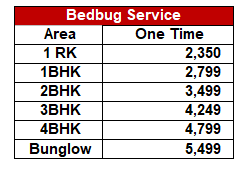 Bedbug service 