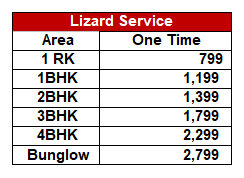 lizard service